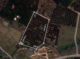  Grundstück zu verkaufen in Chiang Kham, Phayao, Ang Thong, Chiang Kham, Phayao