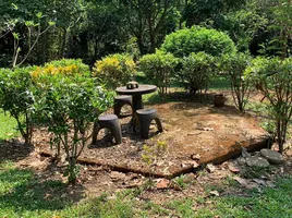 2 Schlafzimmer Haus zu vermieten in Chiang Rai, Mae Kon, Mueang Chiang Rai, Chiang Rai