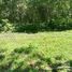  Land for sale in Rawai, Phuket Town, Rawai