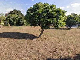  Land for sale in Buak Khang, San Kamphaeng, Buak Khang