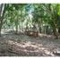  Land for sale at Uvita, Osa