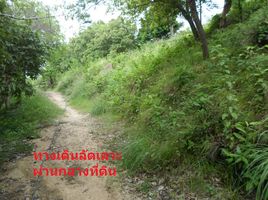 Grundstück zu verkaufen in Ko Pha-Ngan, Surat Thani, Ban Tai, Ko Pha-Ngan, Surat Thani
