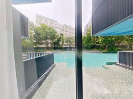 2 Bedroom Condo for rent at The Deck Patong, Patong, Kathu