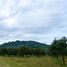  Land for sale in Chanthaburi, Khlung, Chanthaburi