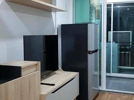 1 Bedroom Apartment for rent at Regent Home Sukhumvit 81, Suan Luang