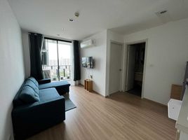 1 Schlafzimmer Appartement zu vermieten im Artemis Sukhumvit 77, Suan Luang