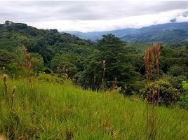  Grundstück zu verkaufen in Aguirre, Puntarenas, Aguirre