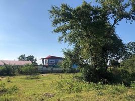  Land for sale in Wang Phong, Pran Buri, Wang Phong