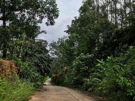  Grundstück zu verkaufen in Mueang Ranong, Ranong, Bang Non