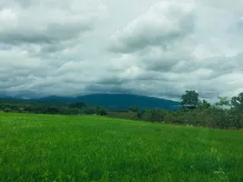  Grundstück zu verkaufen in Hang Dong, Chiang Mai, Nam Phrae