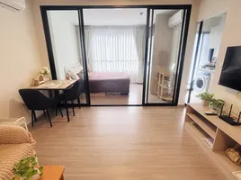 1 Schlafzimmer Appartement zu vermieten im Dcondo Reef Phuket, Kathu