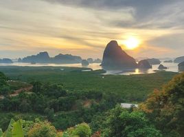  Grundstück zu verkaufen in Takua Thung, Phangnga, Tha Yu, Takua Thung