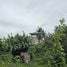  Land for sale in Hua Hin Prachuap Khiri Khan, Thap Tai, Hua Hin, Prachuap Khiri Khan, Thailand