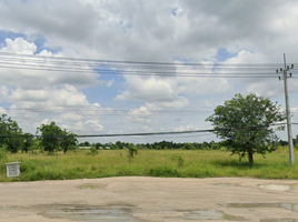  Grundstück zu verkaufen in Kao Liao, Nakhon Sawan, Nong Tao