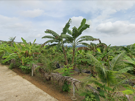 ขายที่ดิน ใน ถลาง ภูเก็ต, ศรีสุนทร