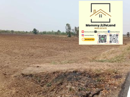  Land for sale in Nakhon Ratchasima, Mueang Khong, Khong, Nakhon Ratchasima