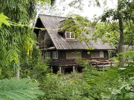  Grundstück zu verkaufen in Sai Yok, Kanchanaburi, Tha Sao, Sai Yok