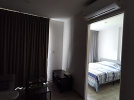 1 Bedroom Condo for sale at Dolce Lasalle, Bang Na