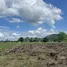  Land for sale in Chaloem Phra Kiat, Saraburi, Khao Din Phatthana, Chaloem Phra Kiat
