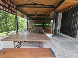 53 Bedroom Hotel for sale in Premium Outlet Phuket, Ko Kaeo, Ko Kaeo