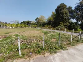  Land for sale in San Sai, Chiang Mai, Nong Yaeng, San Sai