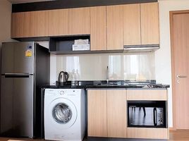 2 Bedroom Condo for rent at Hasu Haus, Phra Khanong Nuea