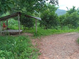  Grundstück zu verkaufen in Chiang Dao, Chiang Mai, Thung Khao Phuang