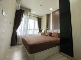 1 Bedroom Apartment for rent at Niche MONO Mega Space Bangna, Bang Kaeo