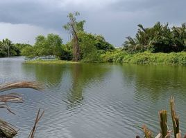  Grundstück zu verkaufen in Ban Phaeo, Samut Sakhon, Yok Krabat, Ban Phaeo, Samut Sakhon