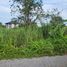  Land for sale in Si Racha, Chon Buri, Surasak, Si Racha