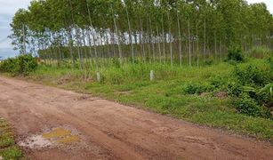 N/A Land for sale in Ko Chan, Pattaya 