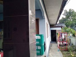 4 Bedroom House for sale in San Sai, Fang, San Sai