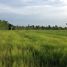  Land for sale in Tan Sum, Ubon Ratchathani, Na Khai, Tan Sum