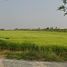  Land for sale in Khlong Sam Wa, Bangkok, Sam Wa Tawan Ok, Khlong Sam Wa