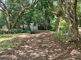 2 Schlafzimmer Haus zu verkaufen in Santa Cruz, Guanacaste, Santa Cruz