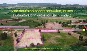 N/A Grundstück zu verkaufen in Suk Duean Ha, Chai Nat 