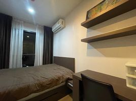 2 Bedroom Apartment for rent at Life Sukhumvit 48, Phra Khanong