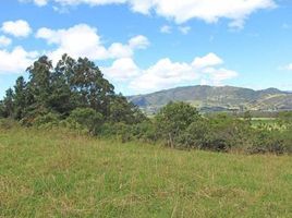  Grundstück zu verkaufen in Sesquile, Cundinamarca, Sesquile