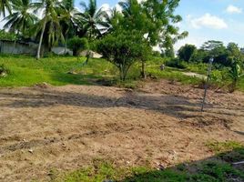  Land for sale in Bangka, Kep. BangkaBelitung, Pangkalan Baru, Bangka