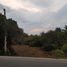  Land for sale in Lamphun, Pratu Pa, Mueang Lamphun, Lamphun