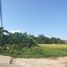  Land for sale in San Sai, Chiang Mai, Nong Chom, San Sai