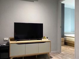 1 Bedroom Condo for rent at Aspen Condo Lasalle, Bang Na, Bang Na