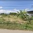  Land for sale in Chom Thong, Chiang Mai, Khuang Pao, Chom Thong