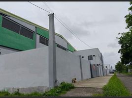  Warehouse for rent in AsiaVillas, Polomolok, South Cotabato, Soccsksargen, Philippines