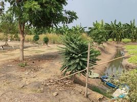  Grundstück zu verkaufen in Sai Noi, Nonthaburi, Thawi Watthana, Sai Noi