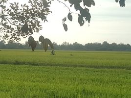  Grundstück zu verkaufen in Bang Nam Priao, Chachoengsao, Bang Khanak