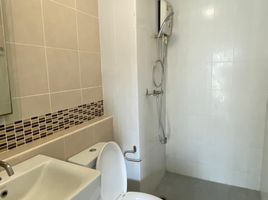 Studio Condo for rent at D Condo Creek, Kathu