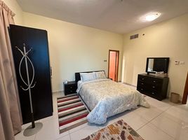 2 Schlafzimmer Appartement zu verkaufen im Marina Pinnacle, Dubai Marina, Dubai