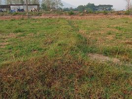  Land for sale in Pua, Nan, Sila Phet, Pua
