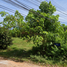  Land for sale in Khuan Maphrao, Mueang Phatthalung, Khuan Maphrao